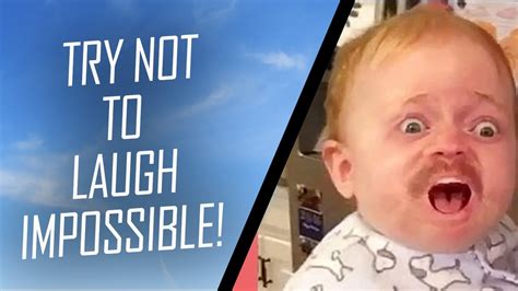 try not to laugh|IMPOSSIBLE Try Not to Laugh Challenge .